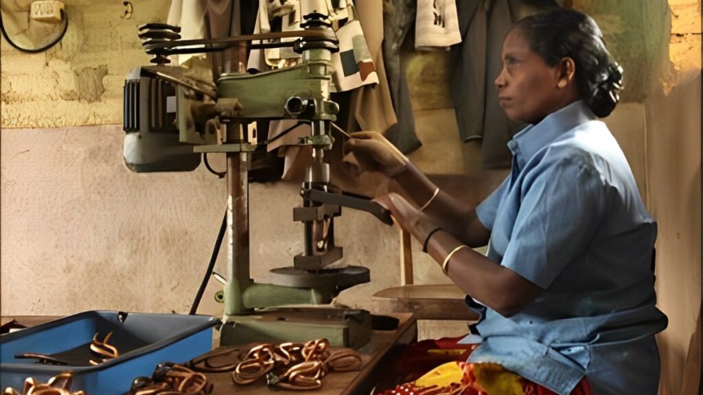 This is a visual of Small-Scale Manufacturing Units Small-Scale Manufacturing Units
