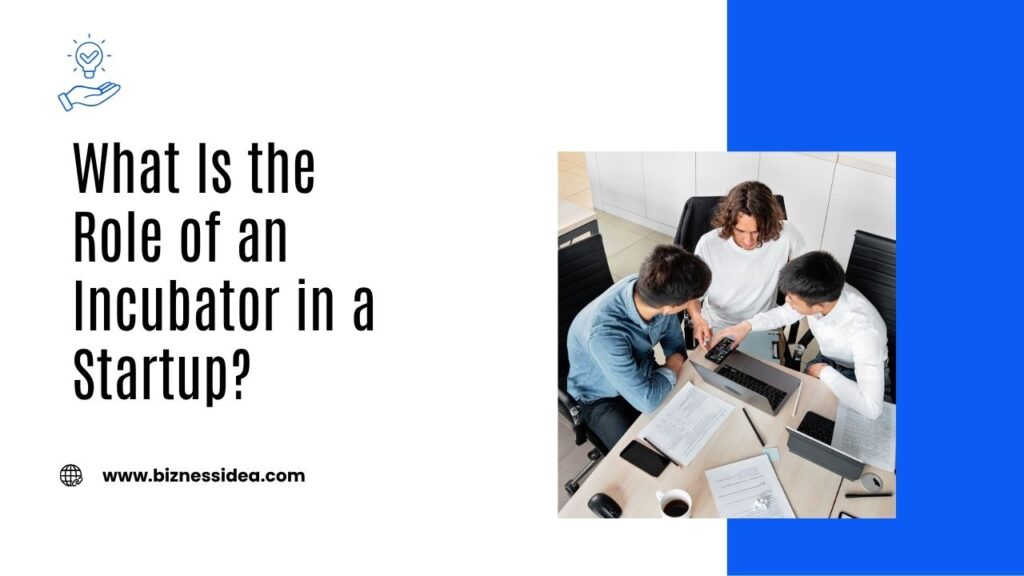 A visual explaining the Role of an Incubator in a Startup